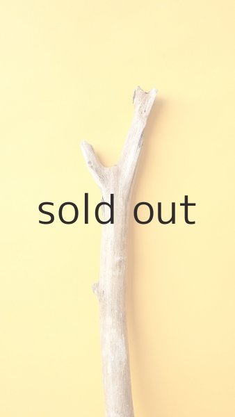 画像4: 枝流木 (4)