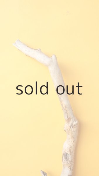 画像4: 枝流木 (4)