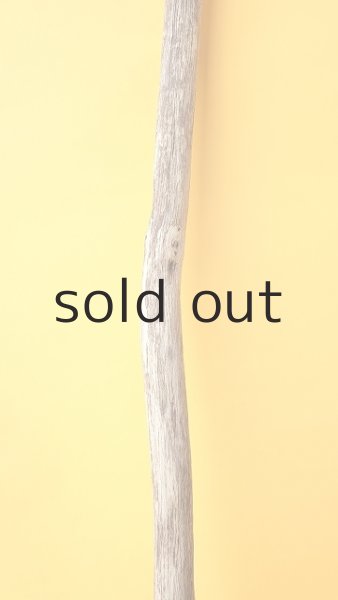 画像3: 枝流木 (3)