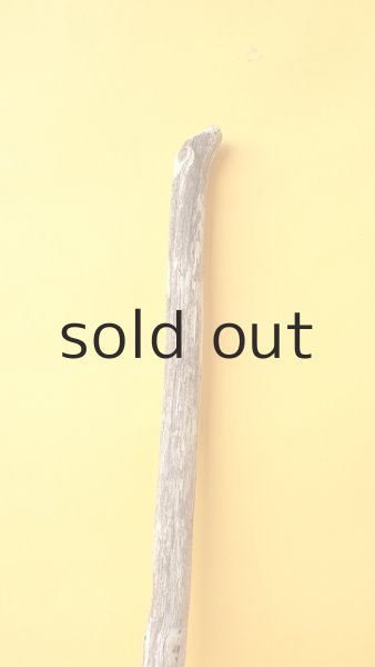 画像4: 枝流木 (4)