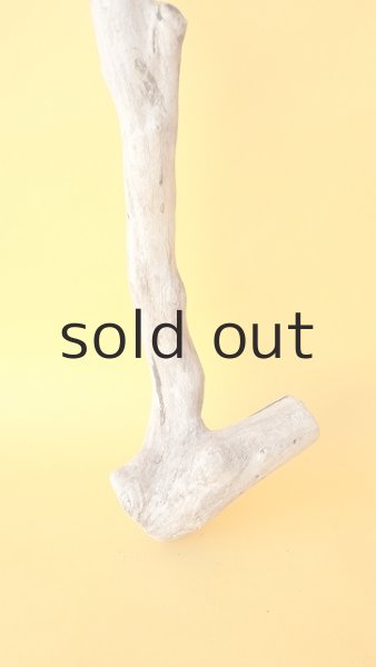 画像2: 枝流木 (2)