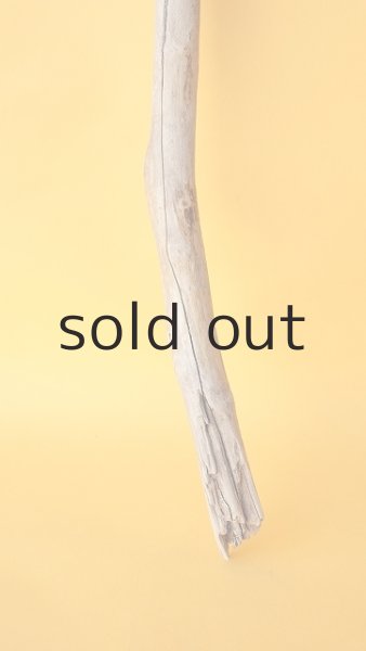 画像2: 枝流木 (2)