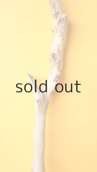 画像3: 枝流木 (3)