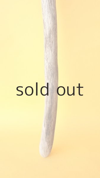 画像2: 枝流木 (2)