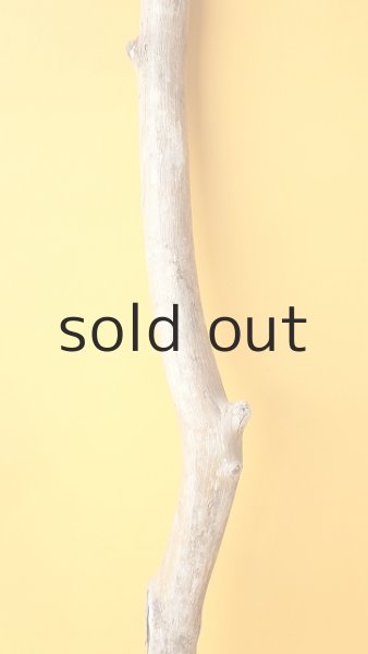 画像3: 枝流木 (3)