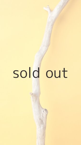 画像3: 枝流木 (3)