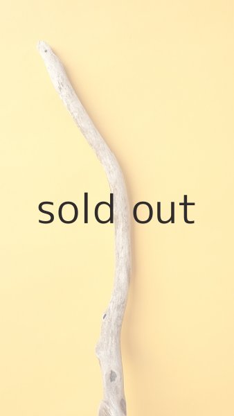 画像3: 枝流木 (3)