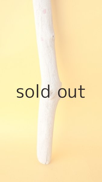 画像2: 枝流木 (2)