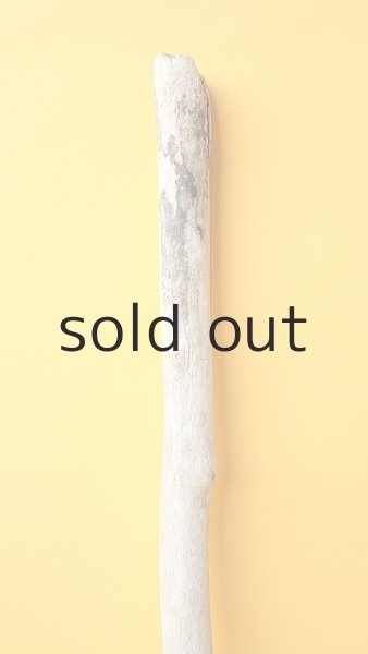 画像3: 枝流木 (3)