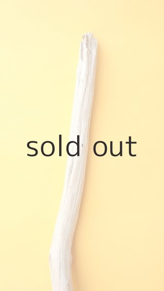 画像3: 枝流木 (3)