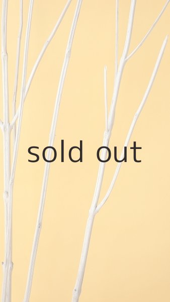 画像4: 枝流木 (4)