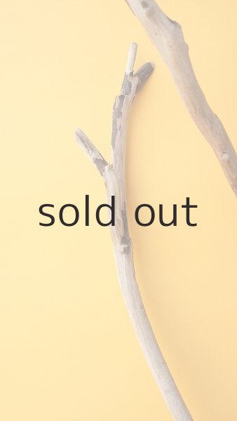 画像4: 枝流木 (4)