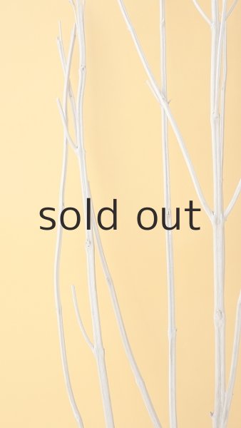 画像3: 枝流木 (3)