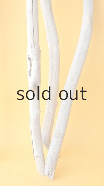 画像5: 枝流木セット (5)