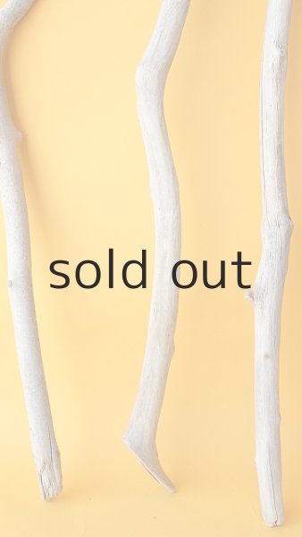 画像2: 枝流木セット (2)