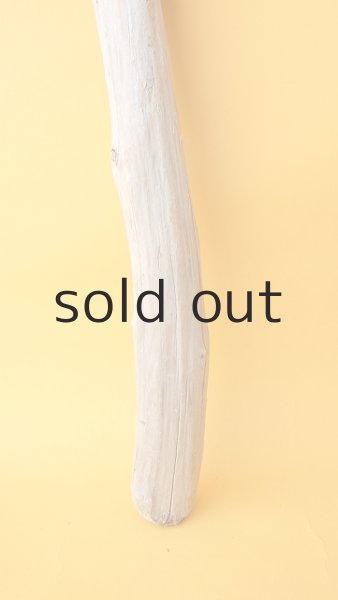 画像2: 枝流木 (2)