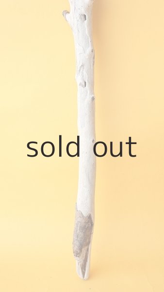 画像2: 枝流木 (2)