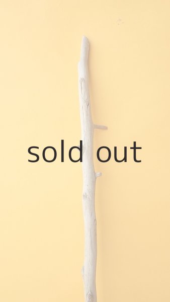 画像4: 枝流木 (4)