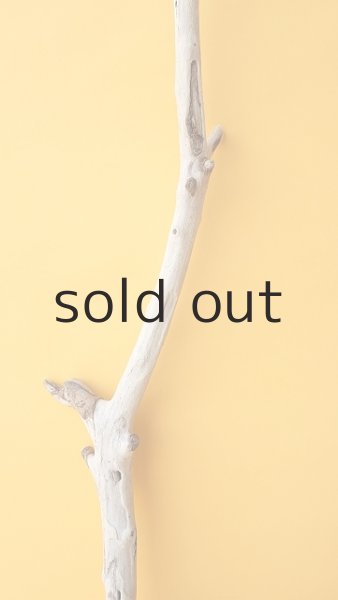 画像3: 枝流木 (3)