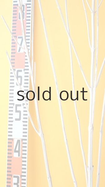 画像8: 枝流木 (8)