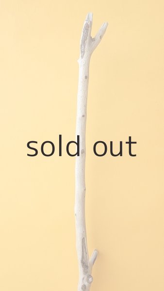 画像4: 枝流木 (4)