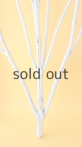 画像7: 枝流木 (7)