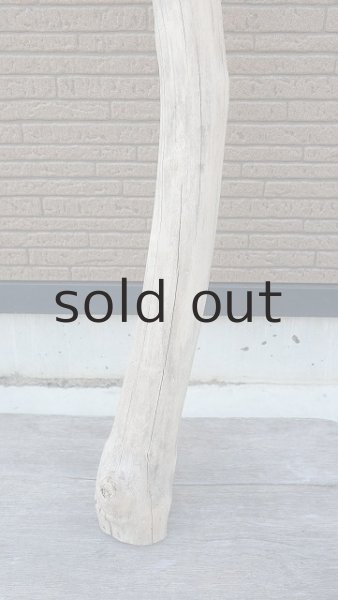 画像2: 大型　幹 (2)