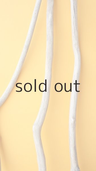 画像3: 枝流木セット (3)