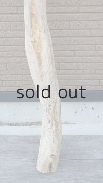 画像2: 大型　幹 (2)