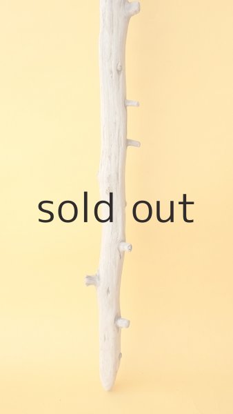 画像2: 枝流木 (2)