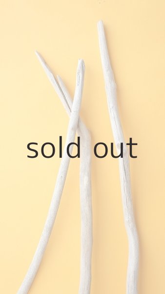 画像4: 枝流木セット (4)