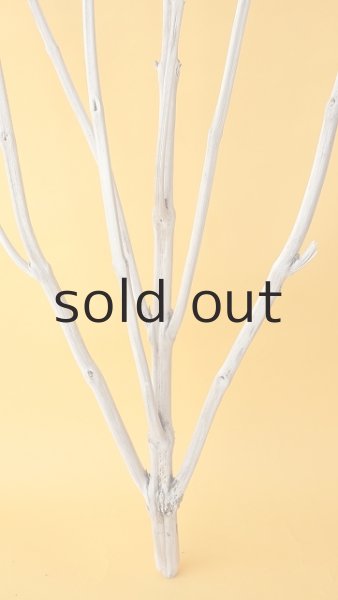 画像2: 枝流木 (2)