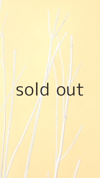 画像5: 枝流木 (5)