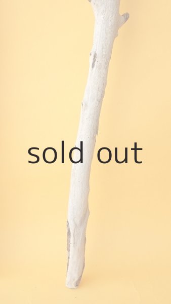 画像5: 枝流木 (5)