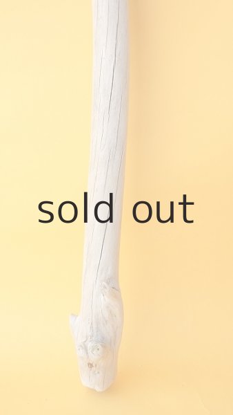 画像2: 枝流木 (2)