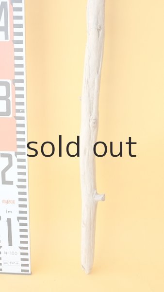 画像5: 枝流木 (5)