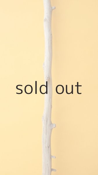 画像3: 枝流木 (3)