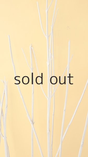 画像6: 枝流木 (6)