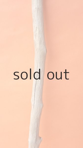 画像3: 枝流木 (3)