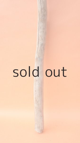 画像2: 枝流木 (2)