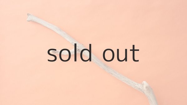 画像4: 枝流木 (4)