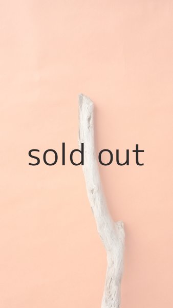 画像5: 枝流木 (5)