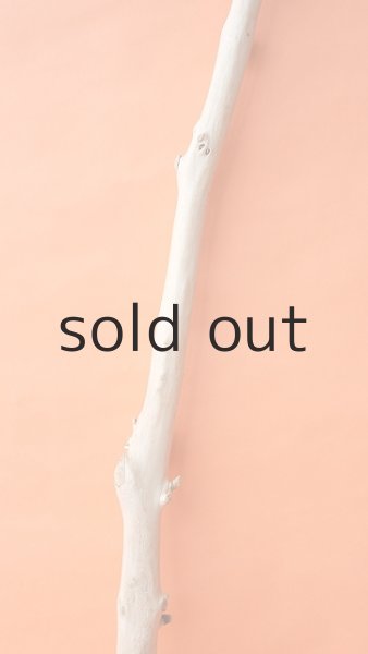 画像3: 枝流木 (3)