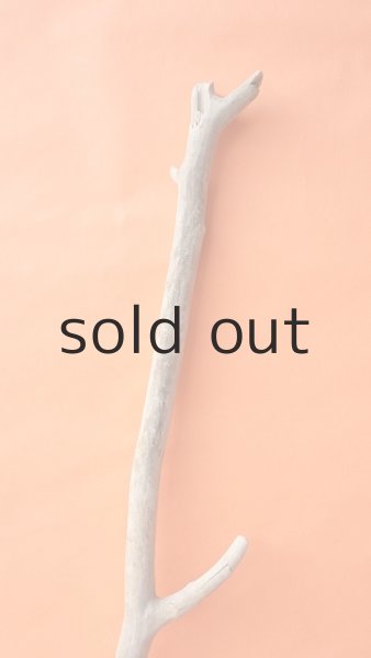 画像4: 枝流木 (4)