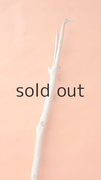 画像4: 枝流木 (4)