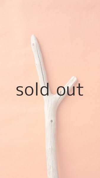 画像4: 枝流木 (4)