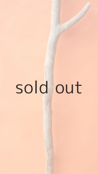 画像3: 枝流木 (3)