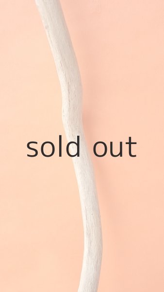 画像3: 枝流木 (3)