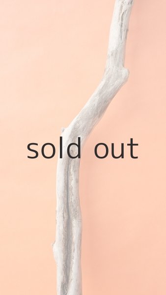 画像3: 枝流木 (3)