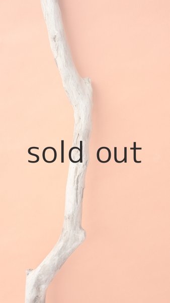 画像4: 枝流木 (4)